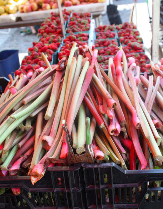 socrates-greenmarket-red-jacket-strawberries-rhubarb-astoria-queens
