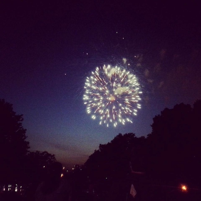 dandelion-fireworks-astoria-park-june-2014