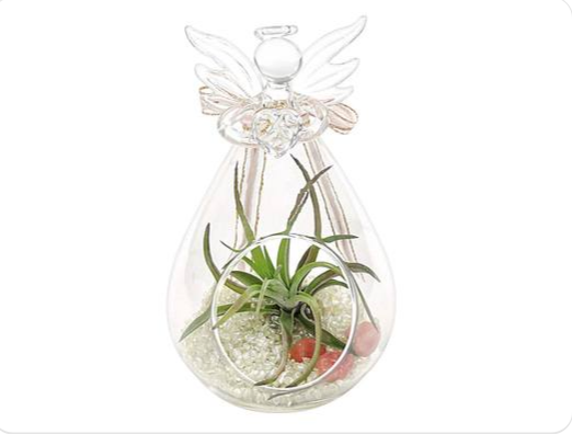 Angel Terrarium_Holiday Gift Guide