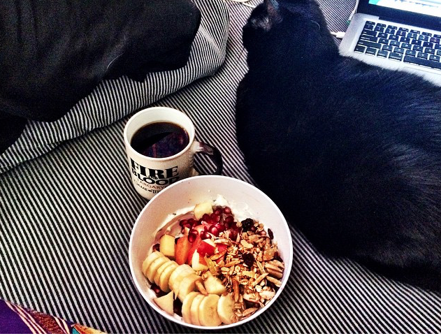 Cat is enjoying a healthy breakfast before spending a lazy day surfing the web. Photo Credit: Alex Graves