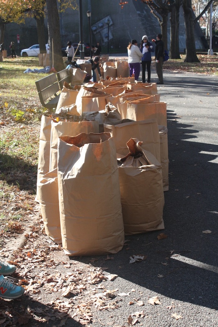 bags-and-bags-of-leaves-leaf-fest-astoria-park-queens