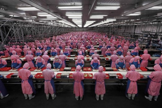 "Manufacturing #17", Deda Chicken Processing Plant, Dehui City, Jilin Province, 2005. Photo by Edward Burtynsky, subject of MANUFACTURED LANDSCAPES (Dir. Jennifer Baichwal. 2006. 90 min. 35mm), a Zeitgeist Films release. Photo: Edward Burtynsky, courtesy of Zeitgeist Films