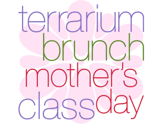 terrarium brunch_mother's classday