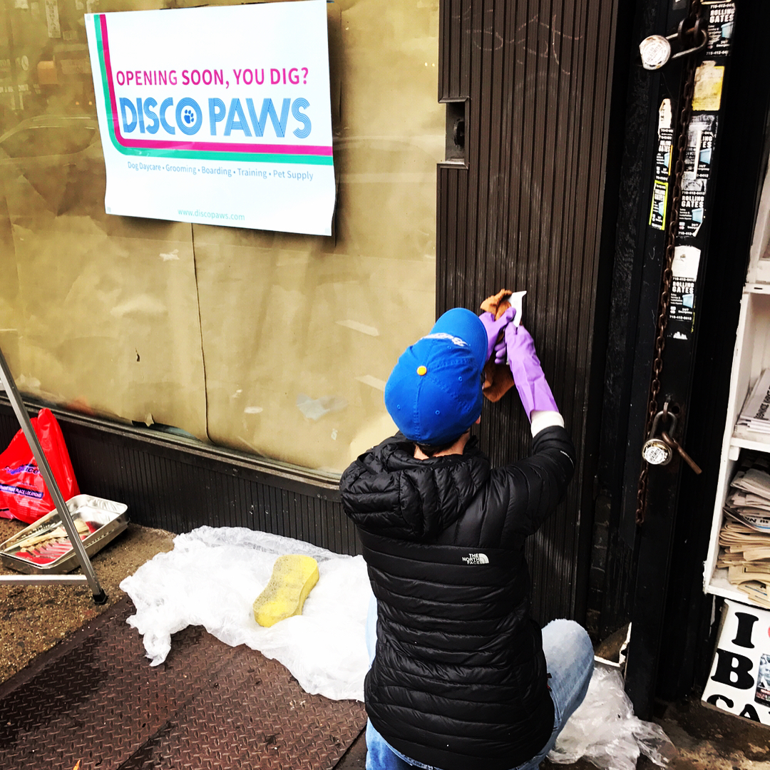 disco-paws-construction-ditmars-astoria-queens