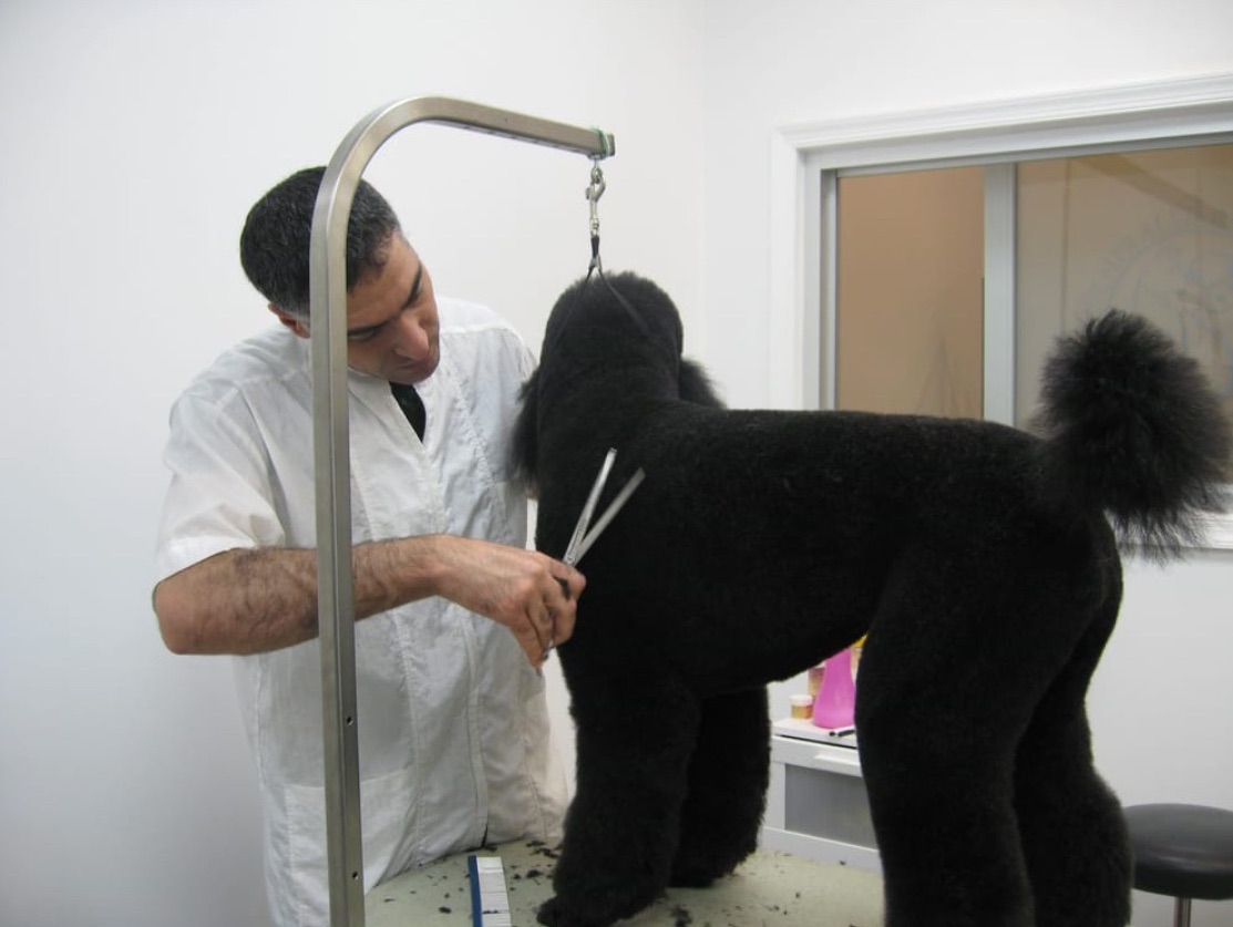 grooming-central-park-pet-spa