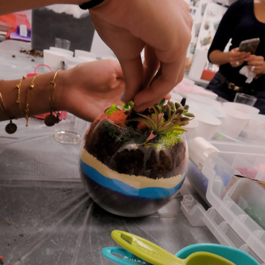 Terrarium Class Adult Weekly We Heart Astoria