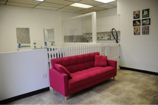 Rapawzel Dog Grooming & Day Care waiting area